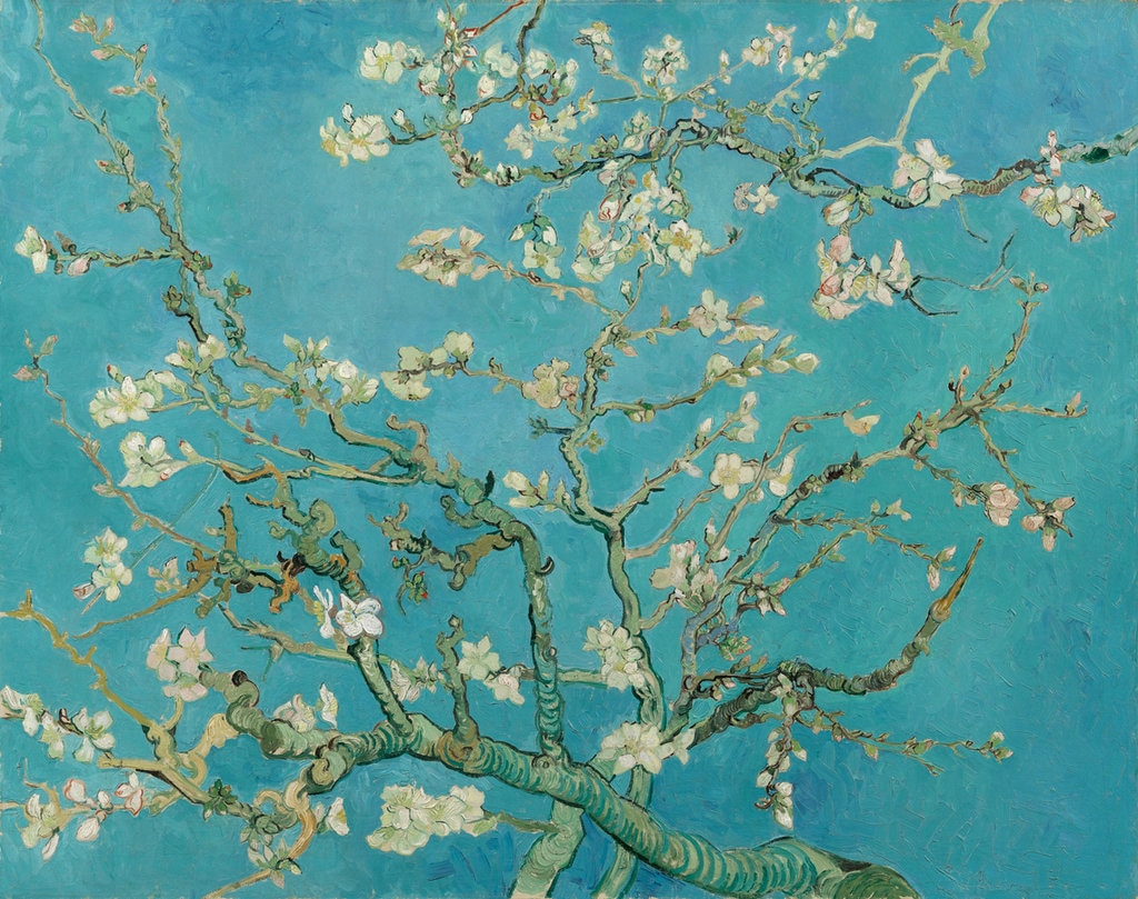 I 15 quadri più belli del Museo Van Gogh di Amsterdam